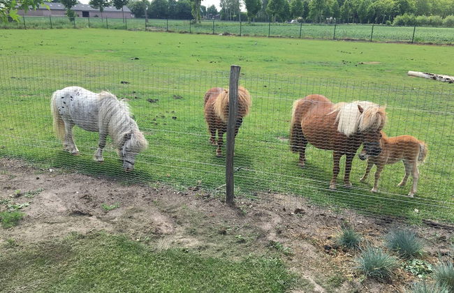 Cozy Holiday Home in Nistelrode With Garden - Photo 79