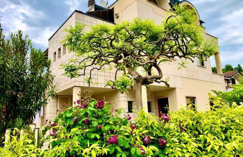 L'angolo verde apartment - Foto 6