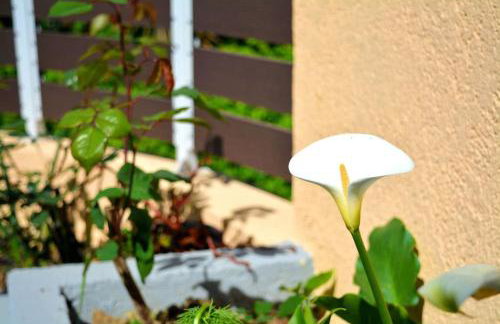 Anna's First floor apartment - Foto 18