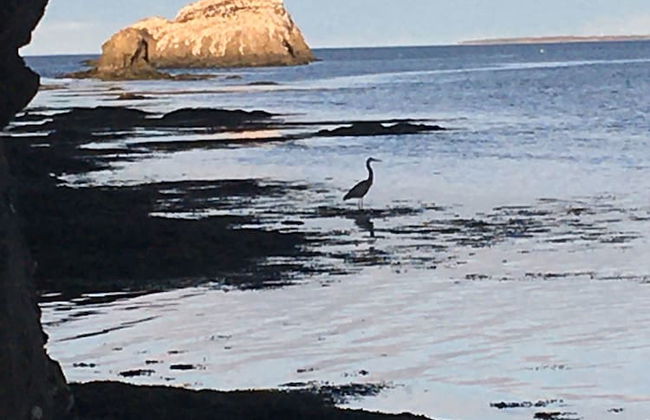 Heron's Nest Cottages - Foto 56