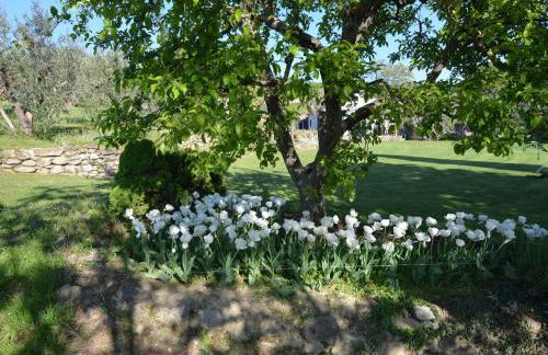 Apartment in quiet and green environment with swimming pool - Foto 41