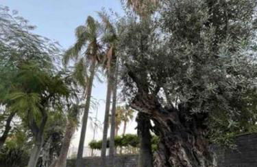 Il Giardino di Pietra - Foto 11