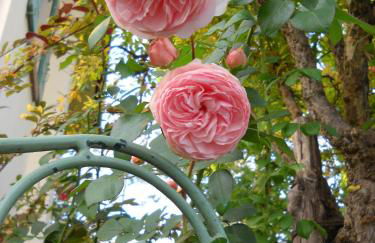 La Casa del Giardiniere - Foto 42