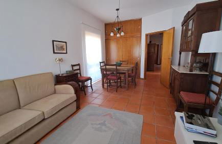 Árvore Cozy com Jardim - Foto 2