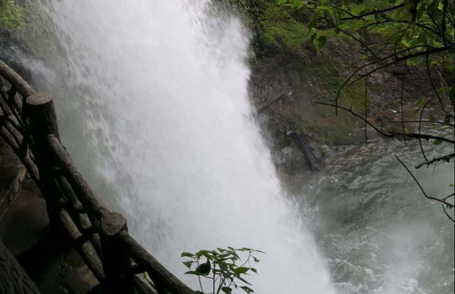 Catarata La Paz, río Celeste y aguas termales - Foto 4