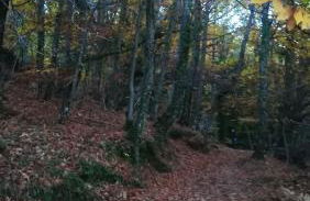 La Lancha del Jerte - Foto 33