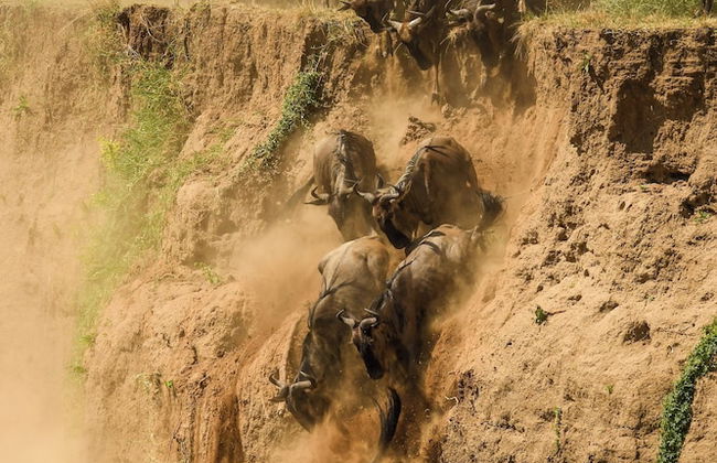 Olakira Mara Homes - Foto 15