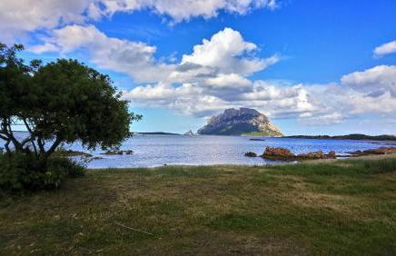 Villa Raffaello - Photo 1