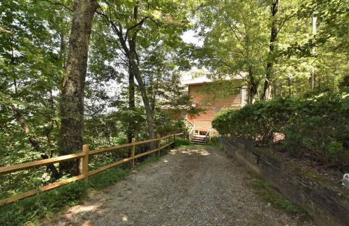 UNQUESTIONABLY the BEST VIEWS in North Georgia - Photo 66