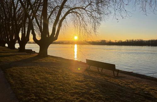 Gemütliche Ferienwohnung Schloßblick Apartment in Geisenheim am Rhein - Rheingau - Foto 12