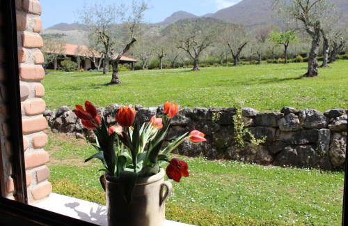 Agriturismo IL CASTAGNETO - Foto 46