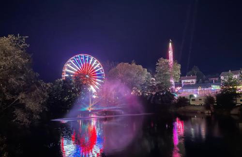 Ferienwohnungen Hollerberg Wohnung 1 - Photo 10