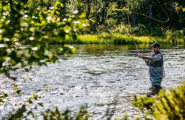 8 Person Holiday Home in Lofsdalen - Foto 21