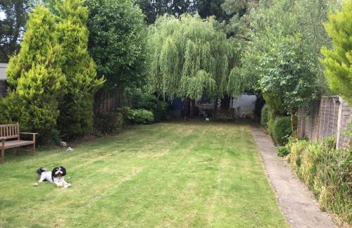 The Studio, Ascot - Foto 11