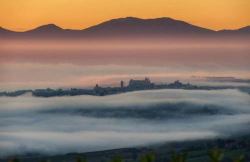 Podere del Papa - Photo 57