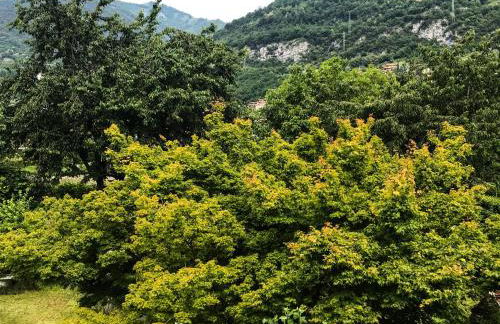 VILLA AS Campo Marzio - Foto 23