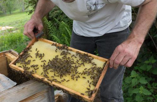 Sigmundenhof Schonach - Foto 51