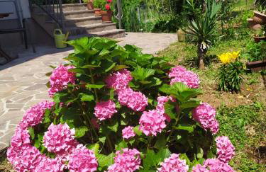 Apartment Vanda - Foto 15