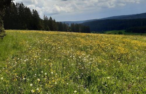 Oberengenbachhof - Foto 6