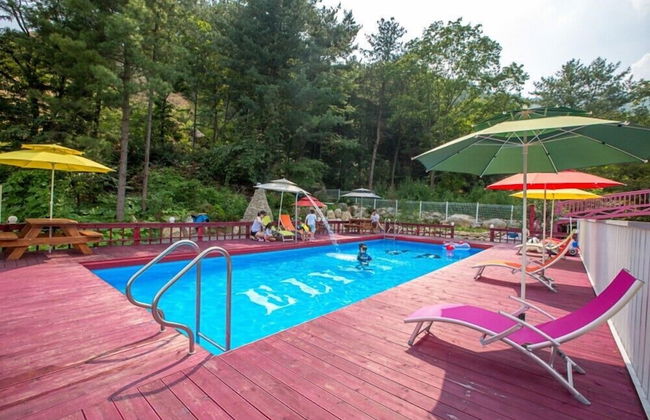 Elsia Pension - Photo 68