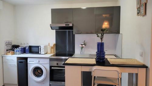 COCOONING HOUSE 211 SUITE AZUR appartement AEROPORT PARIS ROISSY CDG, PARC ASTERIX, CHATEAU DE CHANTILLY, STADE DE FRANCE - Foto 5