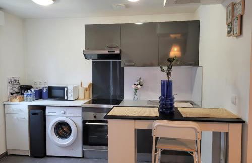 COCOONING HOUSE 211 SUITE AZUR appartement AEROPORT PARIS ROISSY CDG, PARC ASTERIX, CHATEAU DE CHANTILLY, STADE DE FRANCE - Foto 5