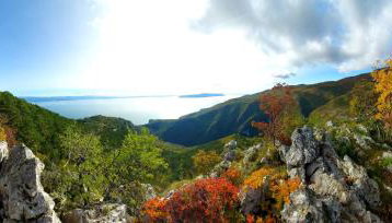 Apartments Dalia - Foto 5