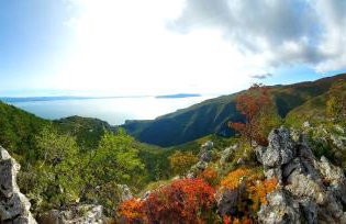 Apartments Dalia - Foto 5