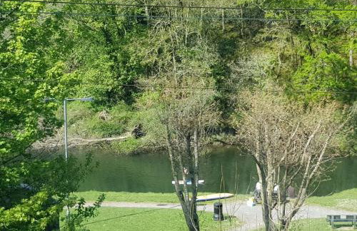 Cosy Cottage overlooking the Teifi Gorge - Foto 13