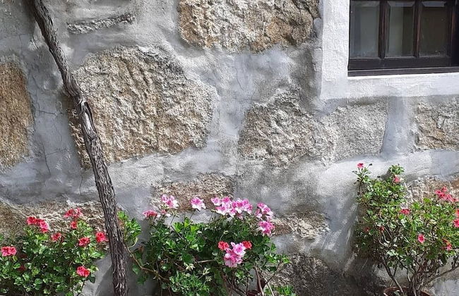 Serrado de Bouças - Foto 79