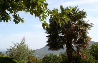 costa di sognu - Foto 32