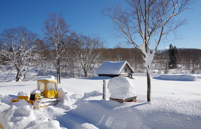 Gassan Pole Pole Farm - Foto 1