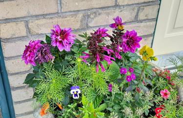 Rocky Mountain Inn - Foto 60