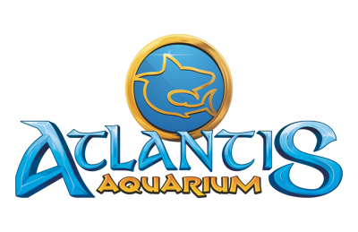 Atlantis Aquarium Madrid - Foto 9