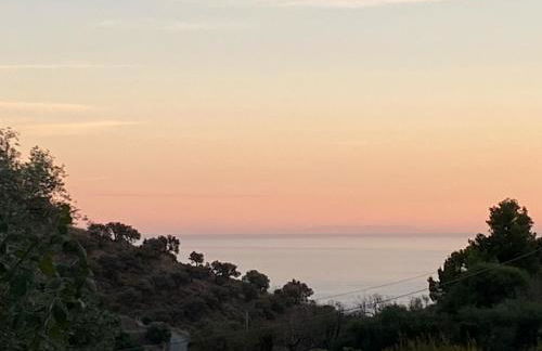 Algarrobo Azul - Photo 33