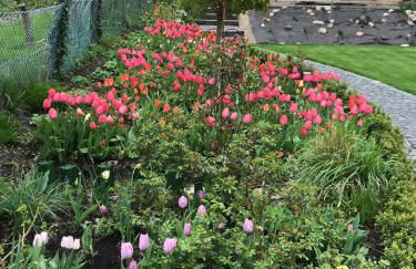 Meeresbrise - Foto 15