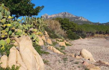 Casa Vacanze Marconi a DONIGALA - Foto 35