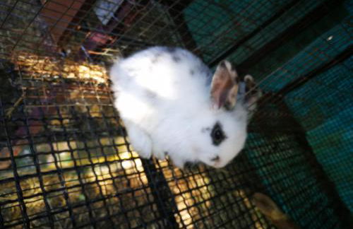 Agriturismo Cisogna - Foto 66