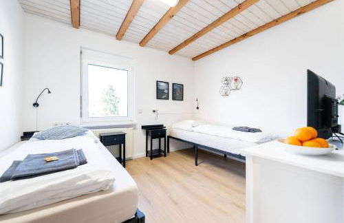 6 people near Basel & Black Forest, stylish, functional - Foto 6