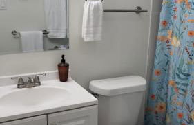 Seeing Busch Gardens from two apartments - Photo 10