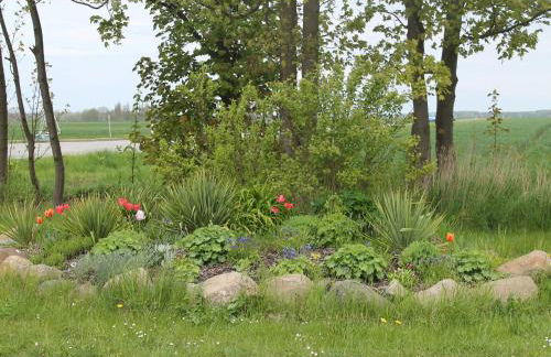 Charmante Ferienwohnung mit Garten in Wiek - Foto 19