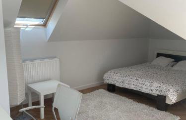 Villa Klimontów - Foto 12