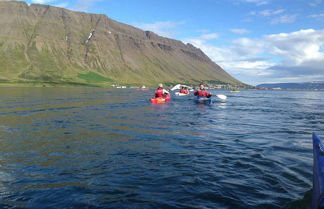Tour de caiaque pela baía de Isafjordur - Foto 5