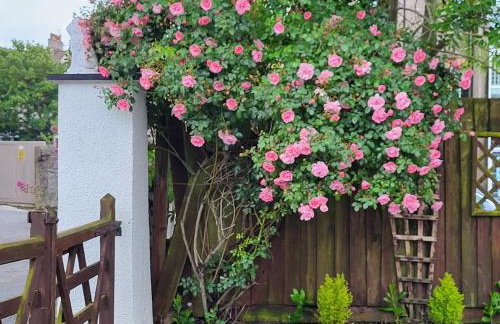 Tivoli Bungalow - Foto 8