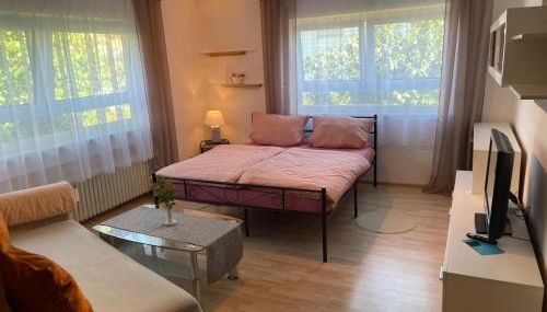 Ferien und Monteurswohnung am Schloss - Foto 3