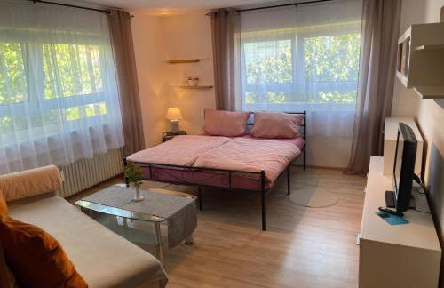 Ferien und Monteurswohnung am Schloss - Foto 3