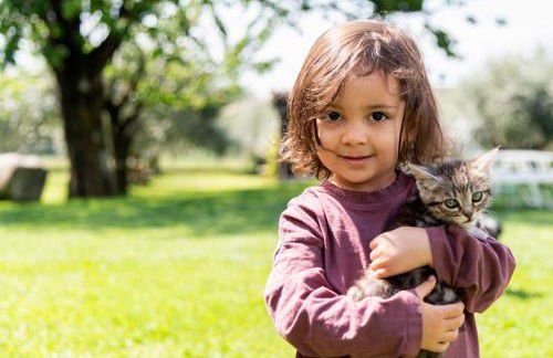 Agriturismo Ca' del Lago - Photo 27