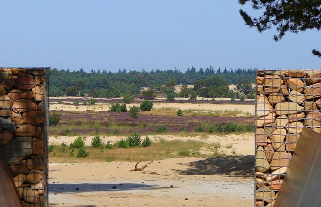 Chalet Near Loonse and Drunense Duinen - Photo 39