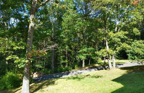 Hidden Gem on Hidden Valley Lane - Photo 26