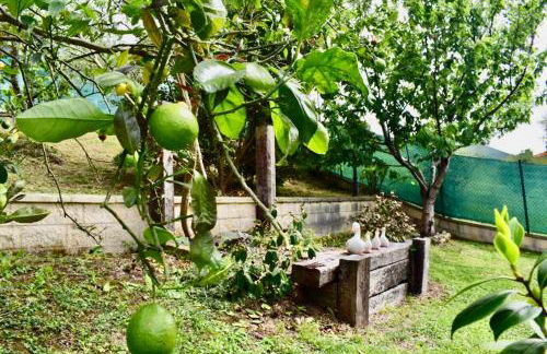 Casa Villa Mey - Foto 49